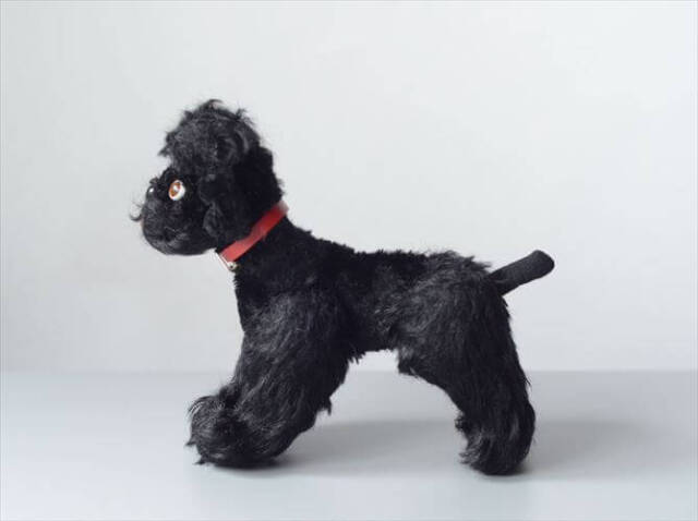 1953-1974年 ドイツ製 Steiff 犬 pudel snobby 黒プードル