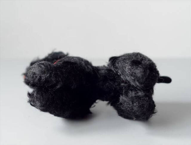 1953-1974年 ドイツ製 Steiff 犬 pudel snobby 黒プードル ぬいぐるみ