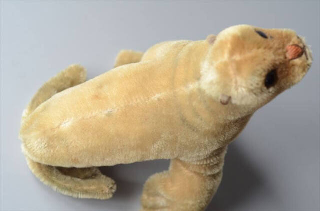 1954-1974年 ドイツ製 Steiff アザラシ robby seal ぬいぐるみ シュタイフ ドール フィギュア アンティーク ヴィンテージ_251010
