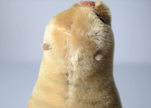1954-1974年 ドイツ製 Steiff アザラシ robby seal ぬいぐるみ