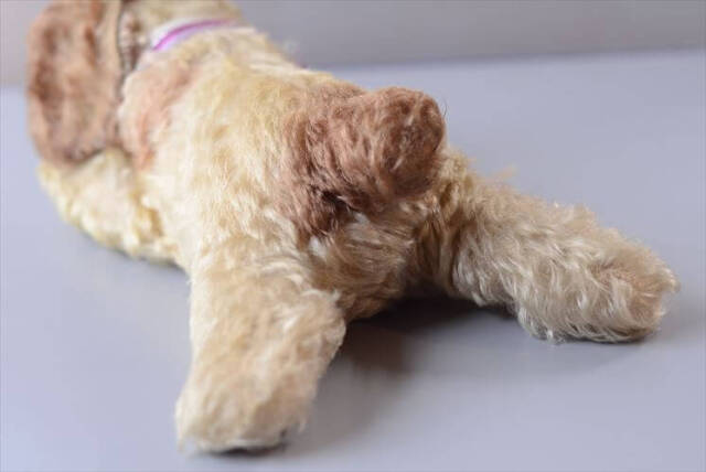 1953-77年代 ドイツ製 Steiff イヌ Floppy Dog Cockie ぬいぐるみ