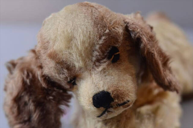 1953-77年代 ドイツ製 Steiff イヌ Floppy Dog Cockie ぬいぐるみ