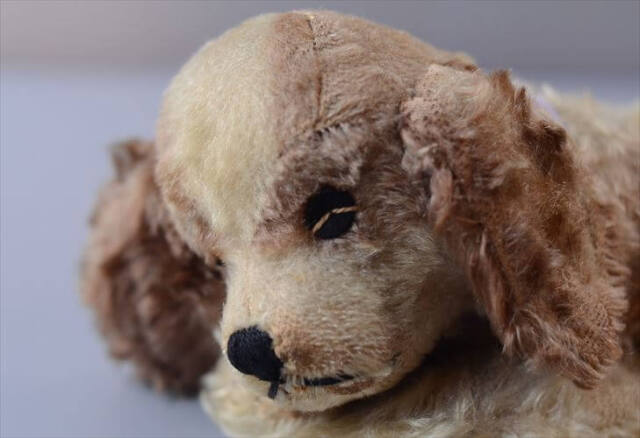1953-77年代 ドイツ製 Steiff イヌ Floppy Dog Cockie ぬいぐるみ シュタイフ ドール フィギュア アンティーク ヴィンテージ_260410