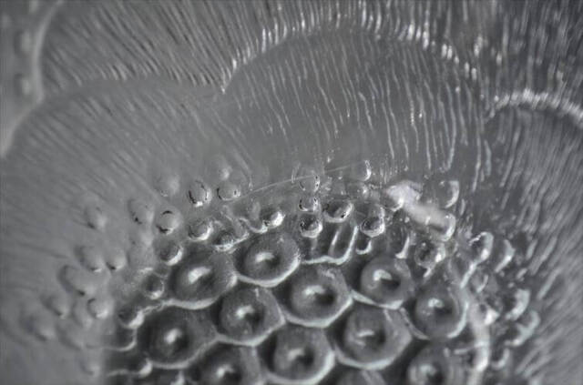 ラベル付! フィンランド製 Nuutajarvi ヌータヤルヴィ Pioni 12cm径