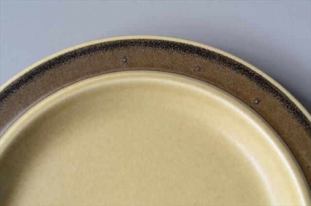 ARABIA アラビア TUNTURI 20cm プレート お皿 トゥントゥリ Ulla Procope 北欧食器 フィンランド アンティーク ヴィンテージ_250415