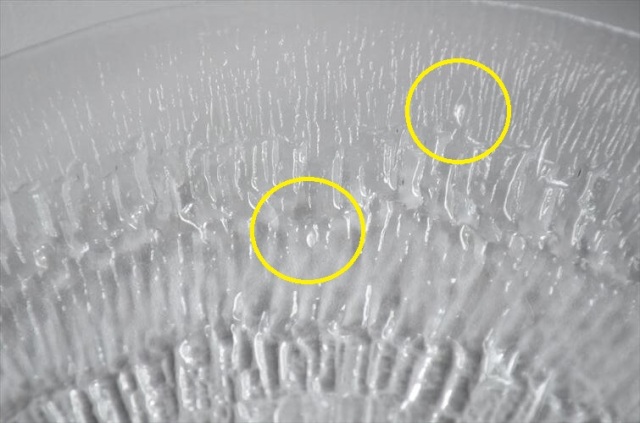 iittala イッタラ Solaris 20cm ガラスのプレート ソラリス お皿 北欧 フィンランド アンティーク_250708