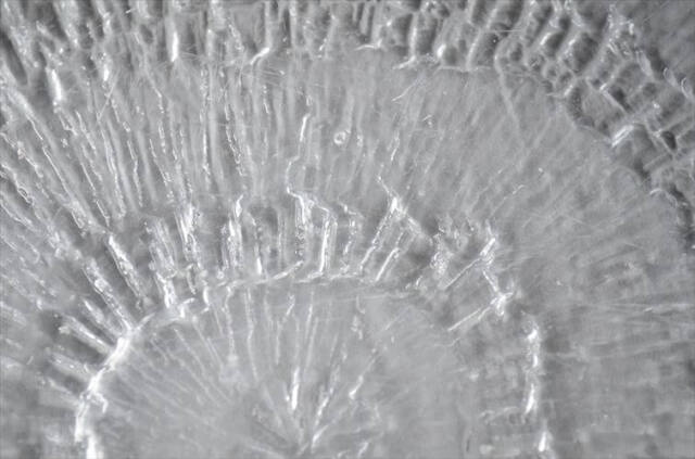 iittala イッタラ Solaris 20cm ガラスのプレート ソラリス お皿 北欧