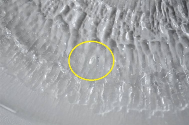 iittala イッタラ Solaris 20cm ガラスのプレート ソラリス お皿 北欧 フィンランド アンティーク_250708