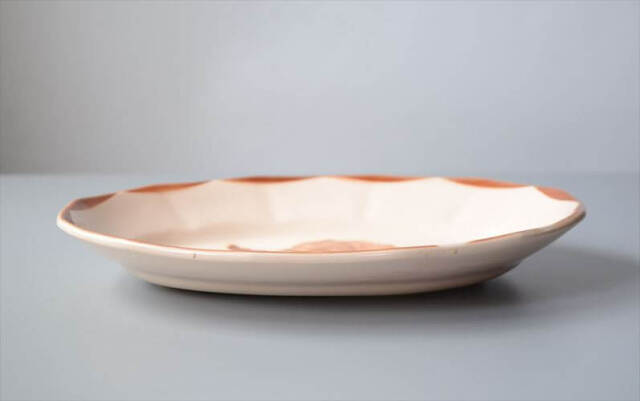 フランス製 DIGOIN SARREGUEMINES オーバルプレート ラヴィエ サルグミンヌ 陶器 アンティーク ヴィンテージ 食器 ヨーロッパ_250718
