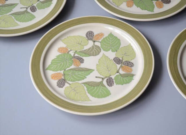 1960～70年代 ドイツ製 Rosenthal Terra Garda 20.5cm プレート お皿 ローゼンタール 陶器 アンティーク ヴィンテージ_250918