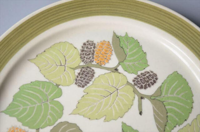 1960～70年代 ドイツ製 Rosenthal Terra Garda 20.5cm プレート お皿 ローゼンタール 陶器 アンティーク ヴィンテージ_250918