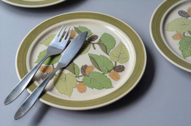 1960～70年代 ドイツ製 Rosenthal Terra Garda 20.5cm プレート お皿 ローゼンタール 陶器 アンティーク ヴィンテージ_250918