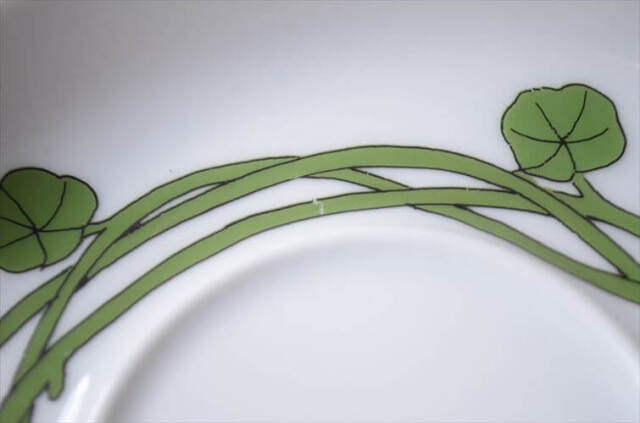 ドイツ製 Rosenthal Thomas カップ＆ソーサー ローゼンタール トーマス