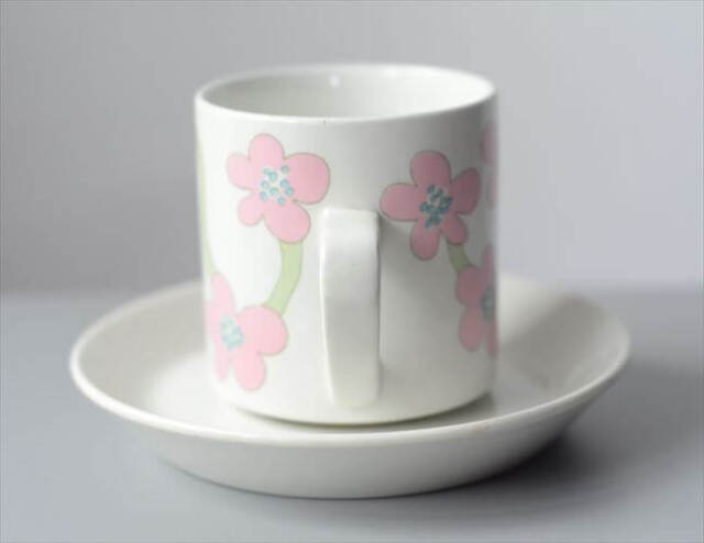 希少！Arabia Villiruusu カップ＆ソーサー アラビア ヴィリルース 北欧 フィンランド ヴィンテージ アンティーク_251021