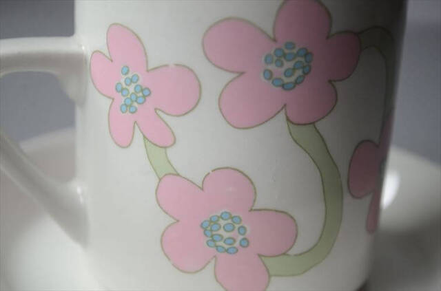 希少！Arabia Villiruusu カップ＆ソーサー アラビア ヴィリルース 北欧 フィンランド ヴィンテージ アンティーク_251021