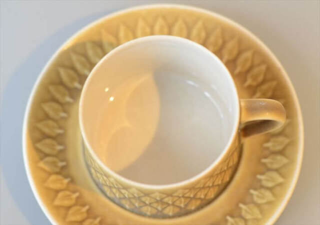 デンマーク製 クイストゴー レリーフ カップ&ソーサー relief B&G J.H.Quistgaard 北欧ヴィンテージ アンティーク_260113