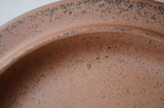 ARABIA アラビア Ruska 20cm プレート お皿 ルスカ 北欧食器
