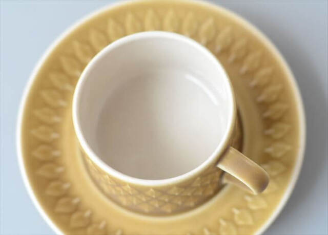 デンマーク製 クイストゴー レリーフ カップ&ソーサー relief B&G Bing & Grondahl J.H.Quistgaard 北欧ヴィンテージ _260513
