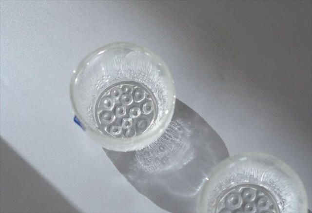 フィンランド製 NUUTAJARVI ARABIA Pioni ショットグラス 30ml
