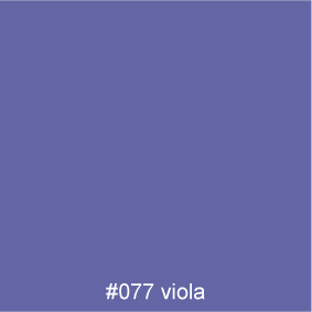 #077 viola