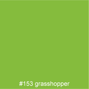 #153 grasshopper