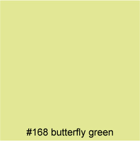 #168 butterfly green