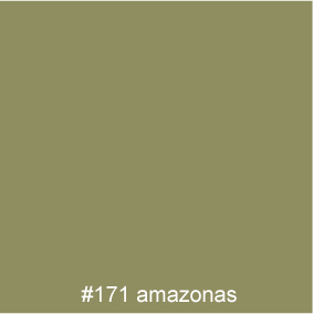 #171 amazonas