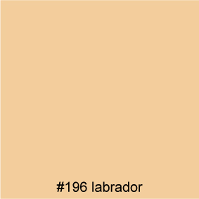 #196 labrador