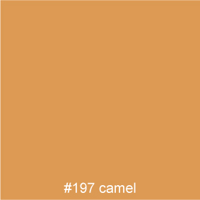 #197 camel
