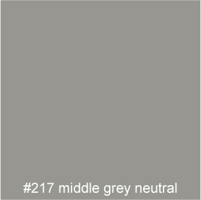 #217 middle grey neutral