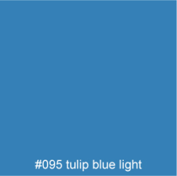 #095 tulip-blue-light