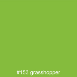 #153 grasshopper