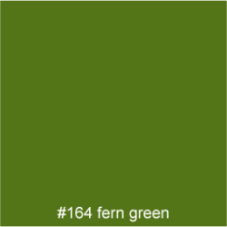#164 fern green