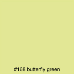 #168 butterfly green
