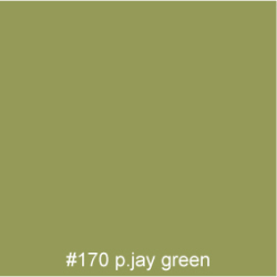 #170 P.JAY green