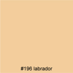 #196 labrador