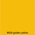 #009 golden yellow