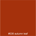 #036 autumn-leaf