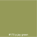 #170 P.JAY green