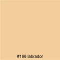 #196 labrador