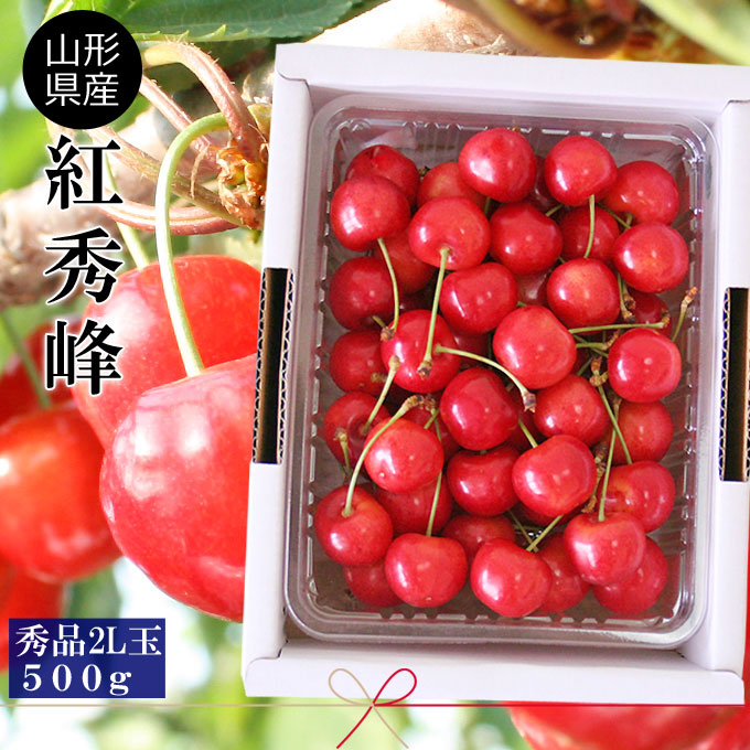 さくらんぼ お中元【山形県産 さくらんぼ 紅秀峰 秀品2Ｌ玉 500ｇバラ詰め】露地栽培 本場山形県から朝採りを即日直送 サクランボ [※クール便配送][※配送指定不可][※産地直送・同梱不可][ お中元 ]