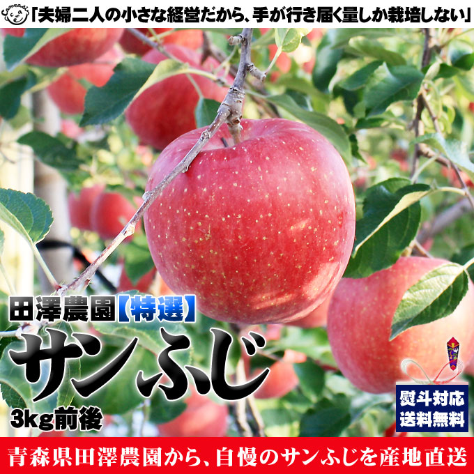 りんご ふじ 特選 贈答用 送料無料 【青森県産サンふじ特選3kg前後】化粧箱・フルーツキャップ 8～11玉入[※産地直送][※常温便]