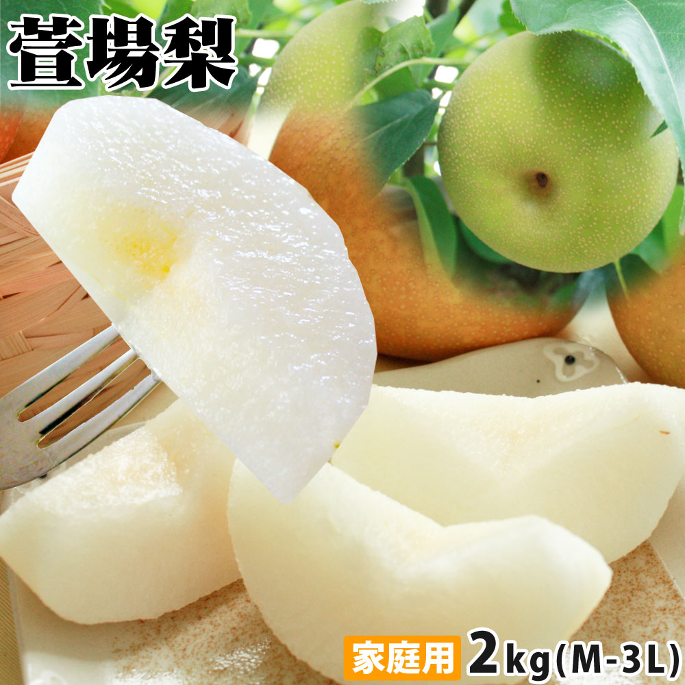 湧き出る甘い果汁 幻の 和梨 送料無料 【萱場梨 家庭用2kg前後 4-7玉 M-3L】 名人石田果樹園から産地直送! 品種お任せ 梨 訳あり 梨 幸水 豊水 二十世紀 南水 あきづき 萱場梨 かやば梨 [※産地直送のため同梱不可]