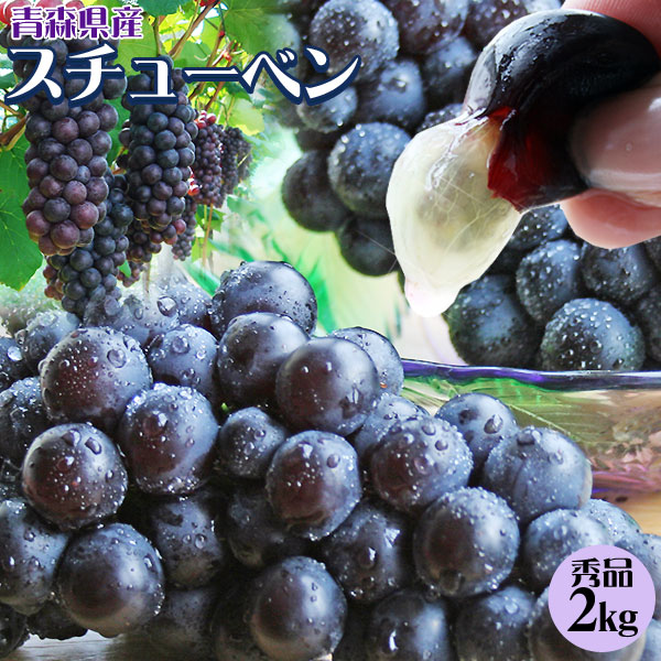 【青森県産ぶどう スチューベン2kg】(6-9房入 サイズMー2L混合)贈答用 送料無料 青森県 鶴田町産 冬のぶどう！[※常温便][※産地直送のため同梱不可]