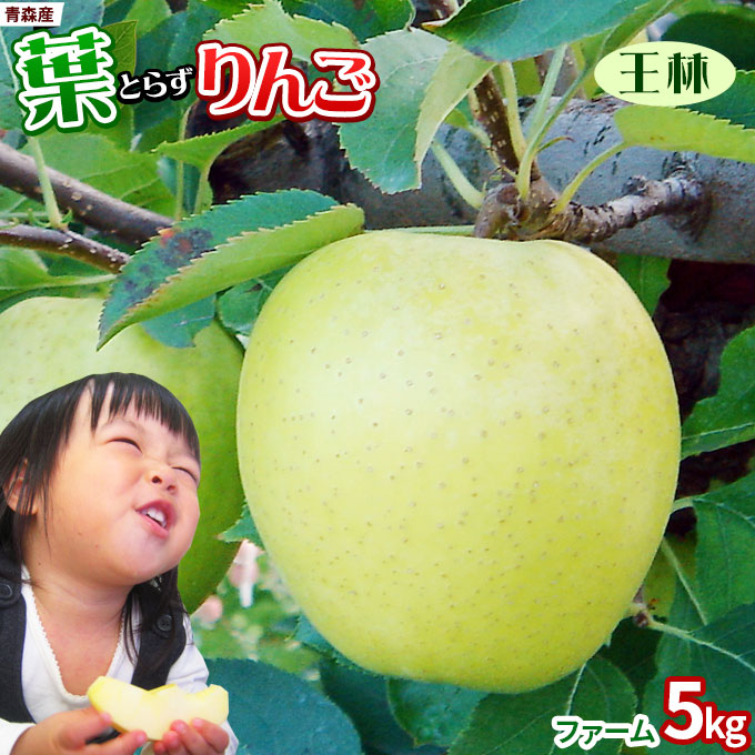 りんご の常識を変える☆葉とらず栽培 本場青森ゴールド農園