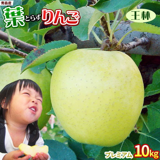 葉っぱの影は甘さのサイン 【葉とらずりんご 王林１０kg プレミアム】 贈答用(14-18玉×2段) 本場青森 GOLD農園 送料無料 ゴールド農園から産直新鮮便 りんご リンゴ 林檎 アップル 青森りんご [産地直送同梱不可]「GOLD」