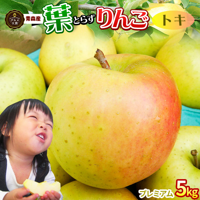 葉っぱの影は甘さのサイン 【葉とらずりんご トキ5kg プレミアム】贈答用(14-18玉) 青森 ゴールド農園 送料無料 とき [※産地直送のため同梱不可]