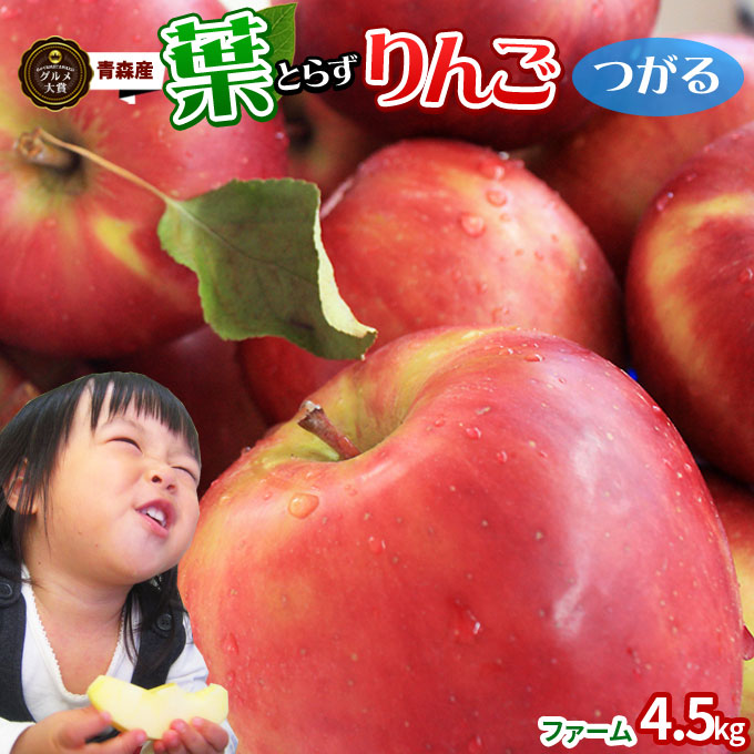 葉っぱの影は甘さのサイン 【葉とらずりんご つがる4.5ｋｇ　ファーム】家庭用 (13-23玉) 送料無料 本場青森 ゴールド農園から産直新鮮便 リンゴ 林檎 アップル 訳あり 青森 りんご 訳あり [※産地直送のため同梱不可]「GOLD」