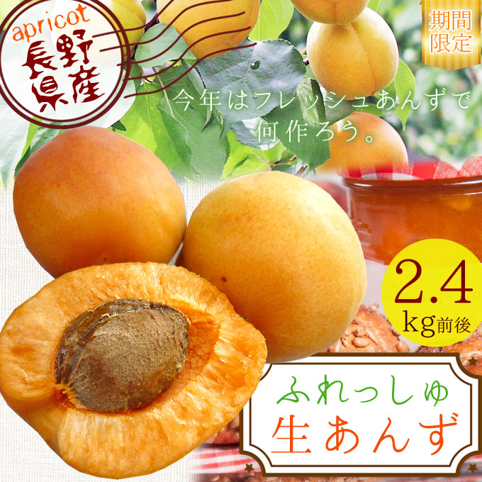 あんず 生食 送料無料 長野県産 【生あんず 2.4kg前後 600g×4パック】手作りアプリコットジャムやシロップ漬け砂糖漬けにどうぞ あんず アンズ 杏 [※クール便][※産地直送同梱不可]