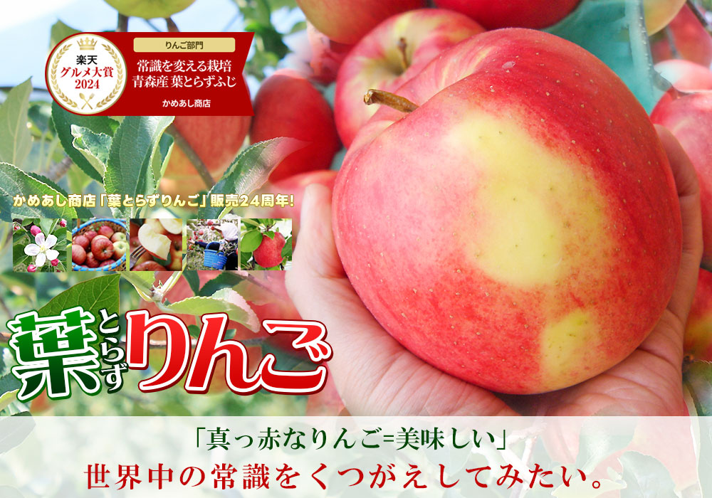 食品 リクエスト商品 栽培中農薬不使用 弘前産 りんご詰め合わせ 4キロ